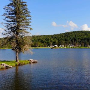 A serene lake nestled amidst trees and lush grass, offering an ideal setting for camping and RV campground experiences.