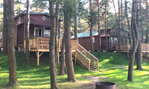 Two rustic cabins nestled in a serene woodland setting, accessible via stairs, perfect for a family camping getaway in a scenic campground.